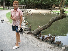 070 Port Douglas Wildlife Habitat